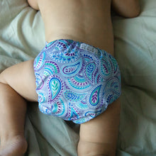 Load image into Gallery viewer, Cloth Nappy - Paisley Pastures
